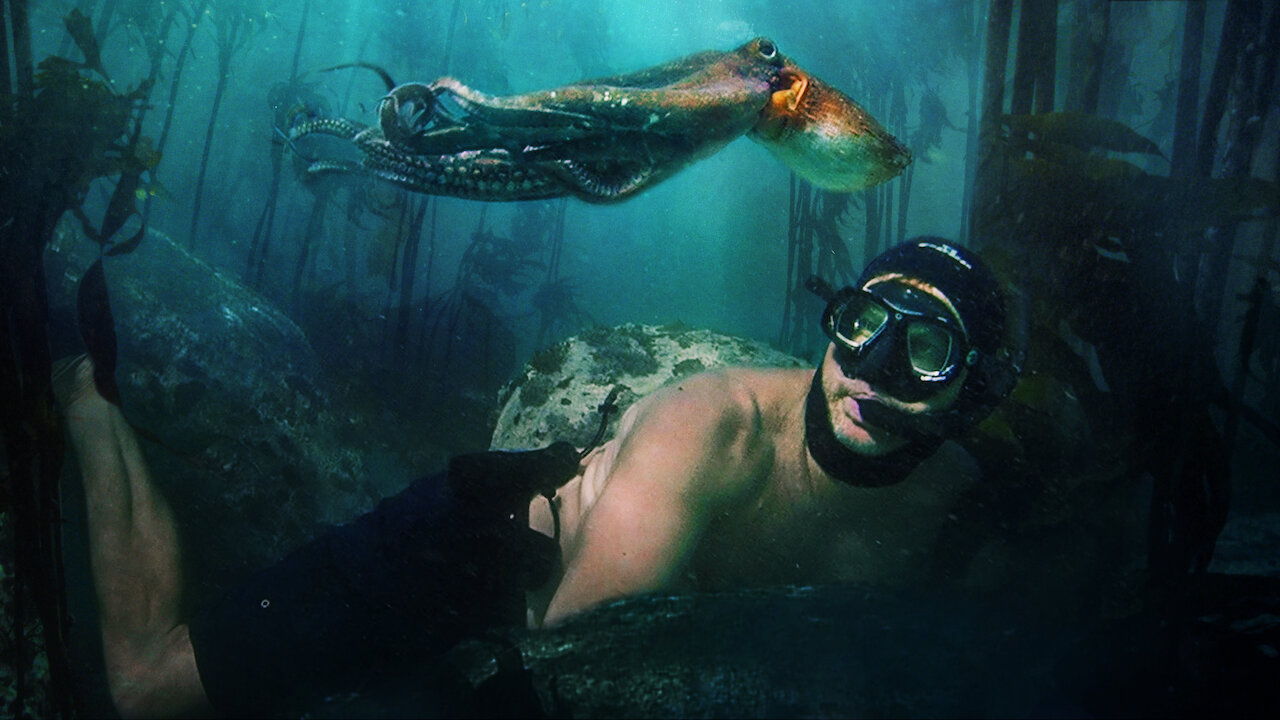 Il mio amico in fondo al mare | Sito ufficiale Netflix